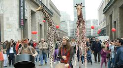 girafes petit girafes petit